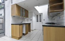 Blewbury kitchen extension leads